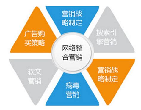 网络营销代运营与推广全攻略 从业务接单到网站更新的技术推广服务详解