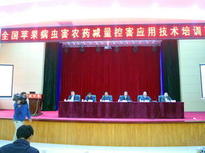 技术推广服务中心 打造创新驱动的技术推广服务